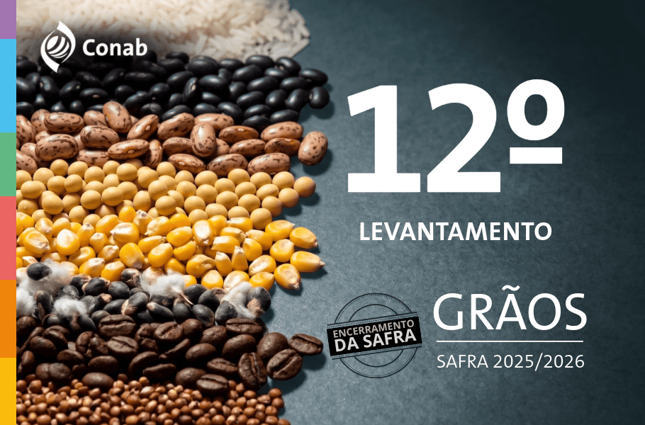 Safra de Grãos: Roraima ganha mais hectares plantados, mas enfrenta perda de produtividade