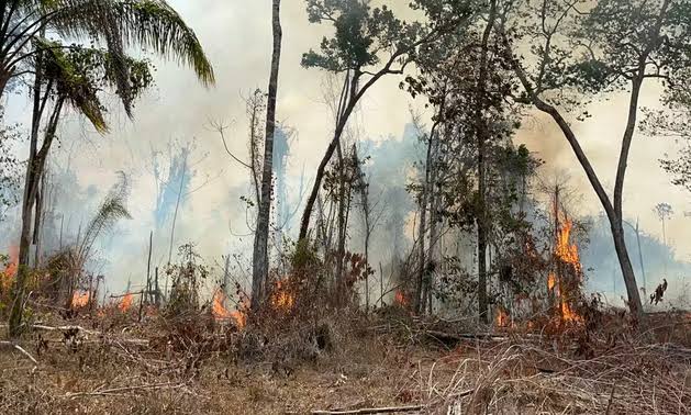 Aumento das Queimadas Alerta Autoridades em Roraima: Bombeiros Registram 23 Incêndios em Apenas Quatro Dias