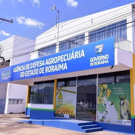 Produtores rurais têm até o fim de outubro para atualizar cadastro de rebanhos em Roraima